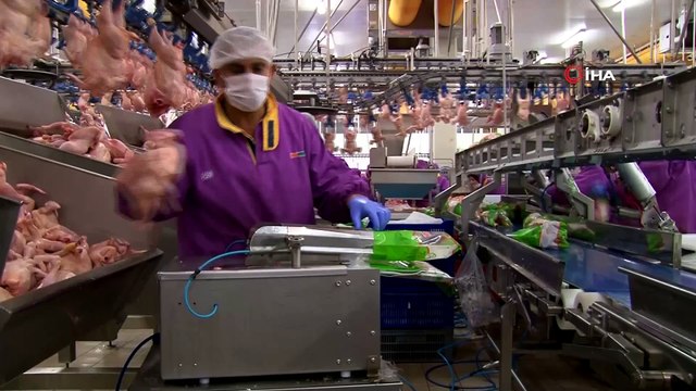 Türk tavuğu Japonların cinsel gücünü artırıyor