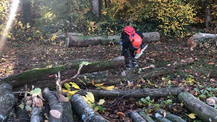 Entretien du Bois de la Rabine
