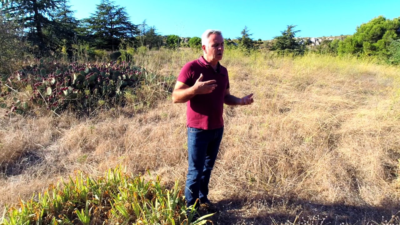 3.Singularité  des vins