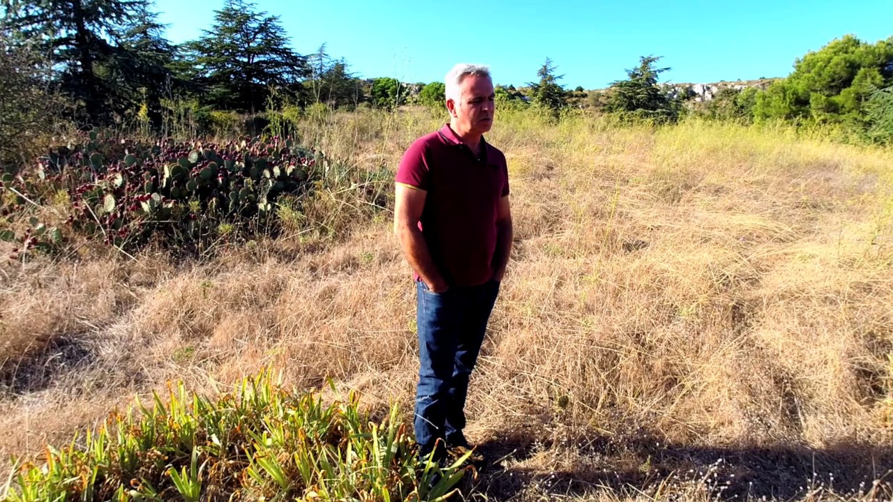 4.Valeurs communes du vin