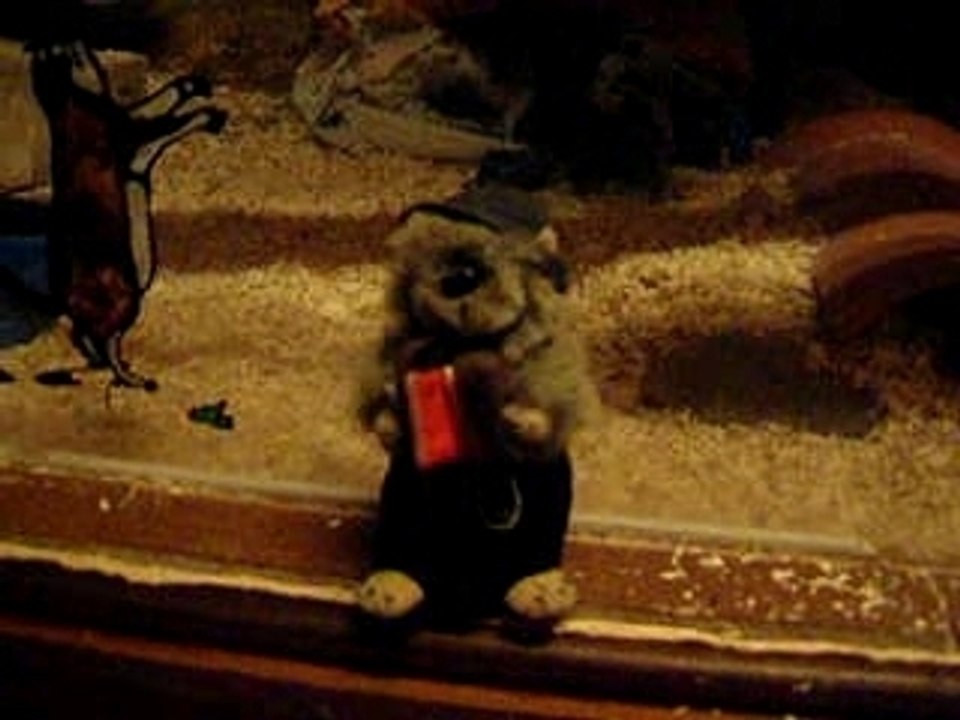 marmotte à l'accordéon