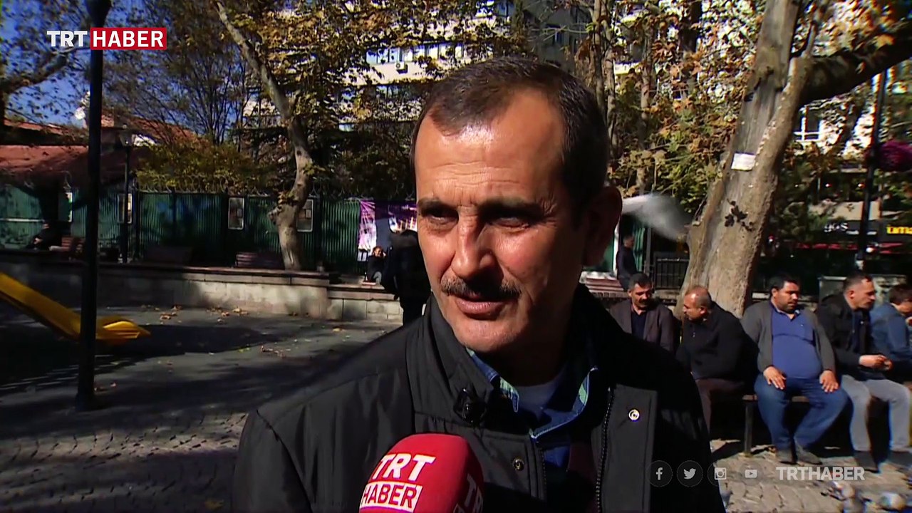 Arı kovanından gelen şifa: Propolis