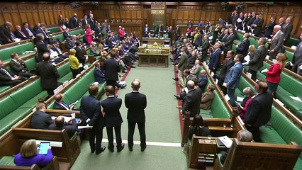 MP Andrew Bridgen shot down after pun-heavy question on Brexit deal