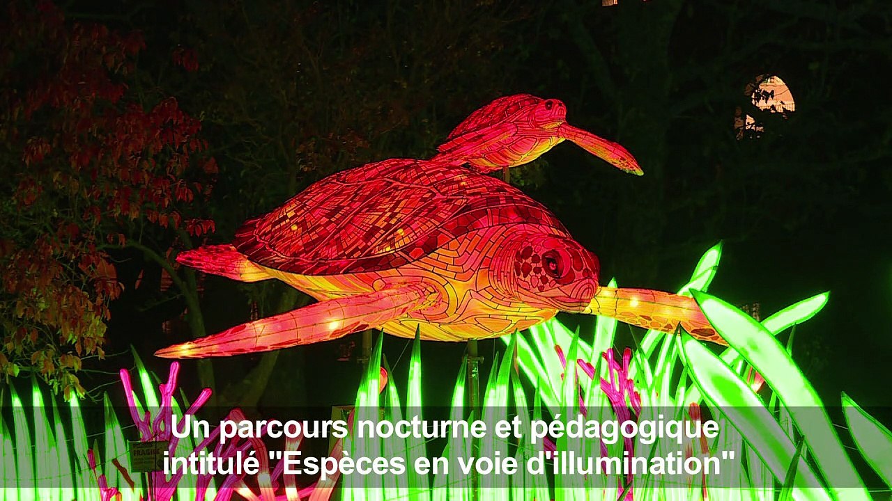 Des animaux lanternes géants au Jardin des plantes à Paris