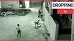 Boy miraculously survives 40ft plunge from rooftop after landing on friend | SWNS TV