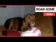 Family find a LION sitting in their home | SWNS TV