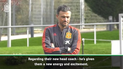 Enrique has energised Spain - Modric