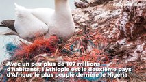 L'Éthiopie produit son électricité en éliminant ses déchets !