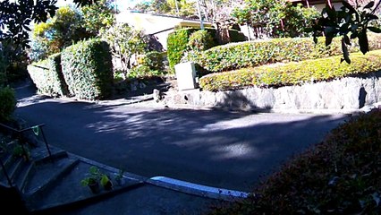 EDR November #15 2018 Noise Campaign Gardeners and Helicopter