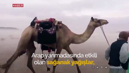 Suudi Arabistan ve Kuveyt’te şiddetli yağış ilginç görüntüler oluşturdu