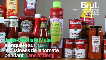 Savez-vous vraiment d’où peuvent venir les tomates que vous mangez ?