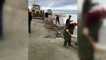 Van Gölü'ne sızan zift temizlendi - VAN