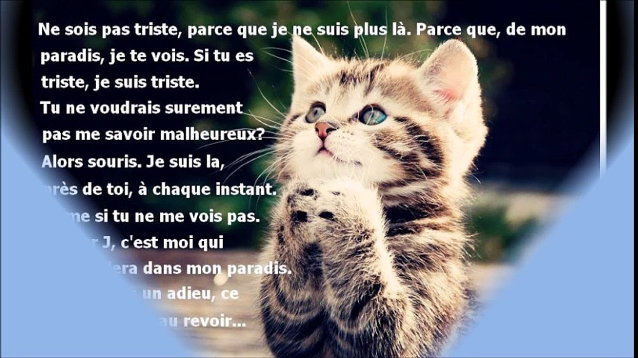 Ma beauté