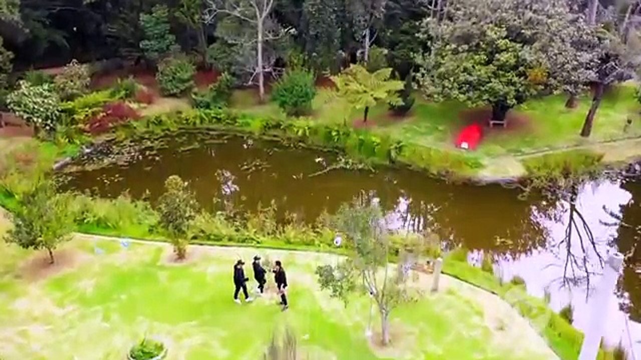 Yo Me Llamo Wisin u0026 Yandel – Pam Pam – Los 24 elegidos