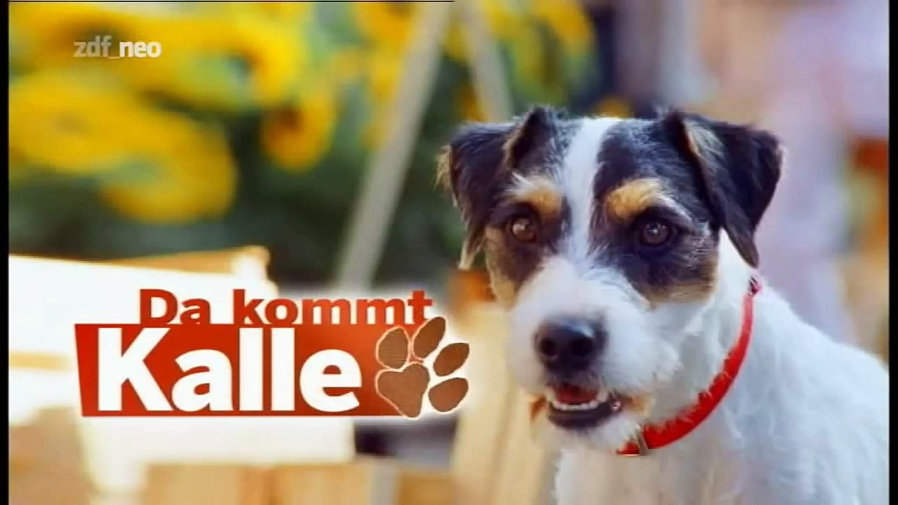 Folge 2 | Da Kommt Kalle | Kalle in Love | Staffel 1