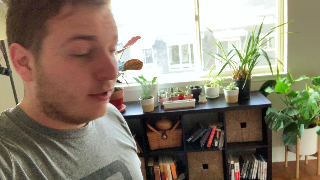 Cat Visits Owner in Bathroom Every Morning