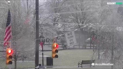 Freezing rain covers everything in ice