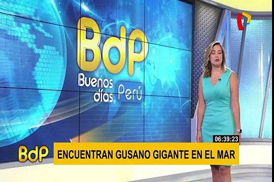 Miraflores: conductores protagonizan choque tras pasarse luz roja