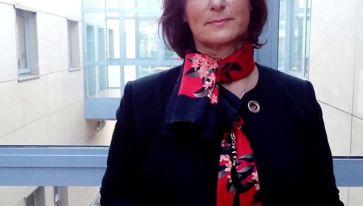 Isabelle Di Florio, déléguée consulaire de la CCI des Vosges, invitée au salon "Go!" création-reprise d'entreprise qui s'est tenue ce jeudi à la pépinière d'entreprises à Saint-Dié-des-Vosges