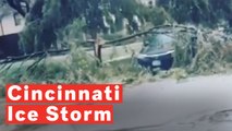Cincinnati Ice Storm Tears Down Trees, Knocks Out Power