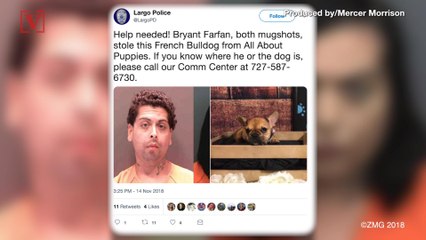 Police: Man Disguised As Woman Used Stolen Credit Card To Buy Puppy