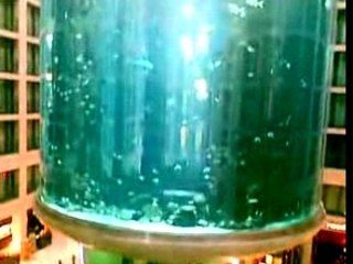 Aquadom - Un aquarium dans l'hotel Radisson de Berlin