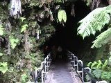 Lava Tube entrance Big Island Hawaii