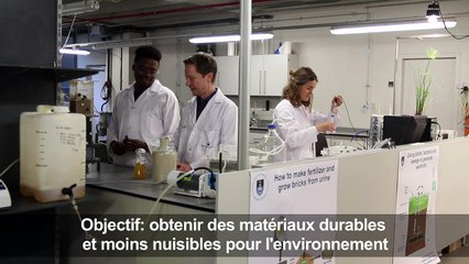 Une université sud-africaine produit des briques à base d'urine