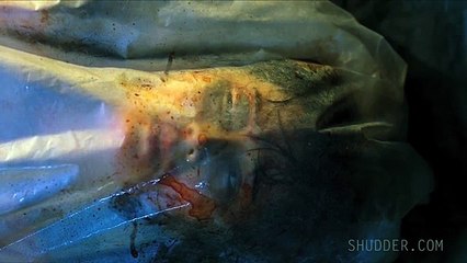 Hamiltons Pharmacopeia S01 E01