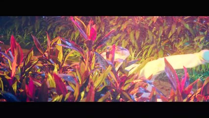 【My Girlfriend's Boyfriend】Ep03 (Eng-sub) (Love Triangle between An Otaku and 2 Robots)