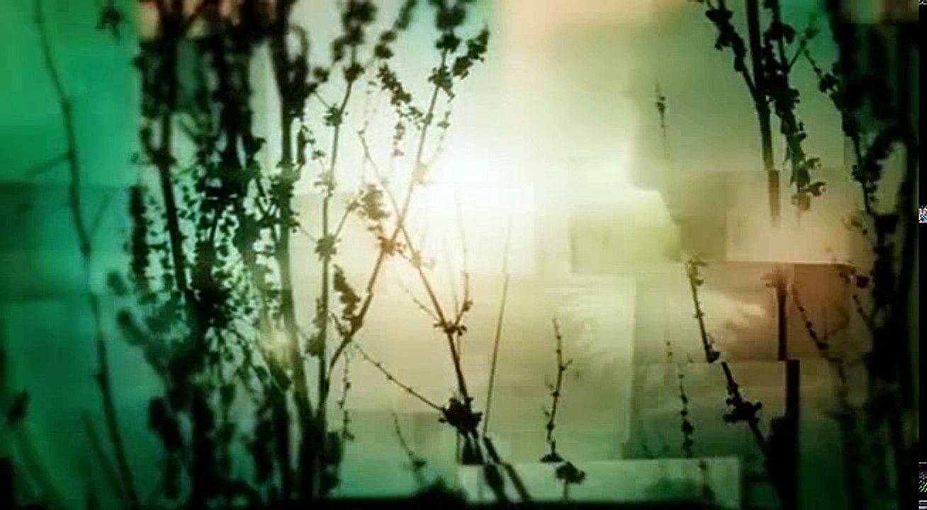 Dci Banks S02 E06
