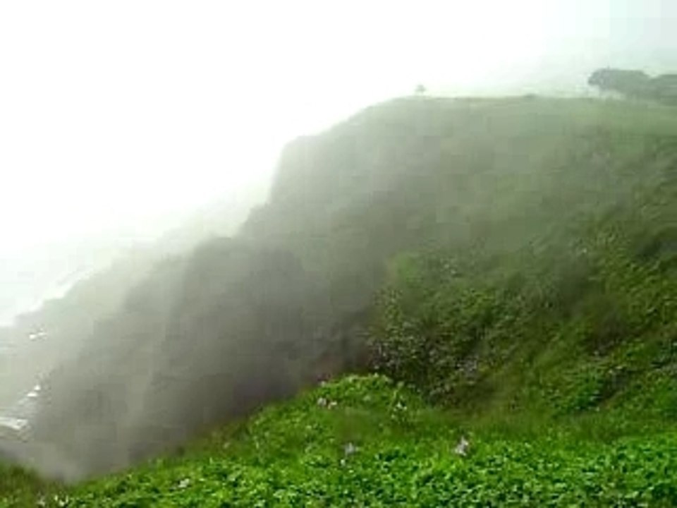 Puissante Garua à Lima (3)