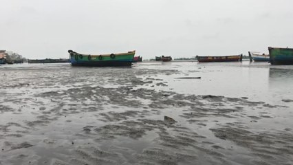 7 மாவட்டங்களில் பாதிப்பு | சிலர் பலி  |  ராமேஸ்வரத்தில் கடல் உள்வாங்கியது- வீடியோ