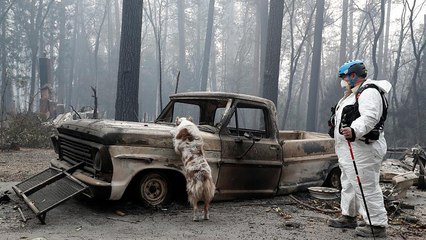 Калифорния: более 600 пропавших без вести