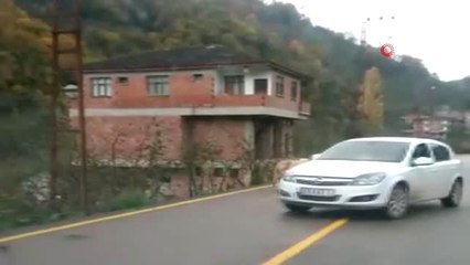 Koyunların Boynuzlu Aile Kavgası Kameralarda