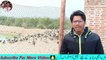 Duck Farming / Duck Farming in Pakistan / duck for business
