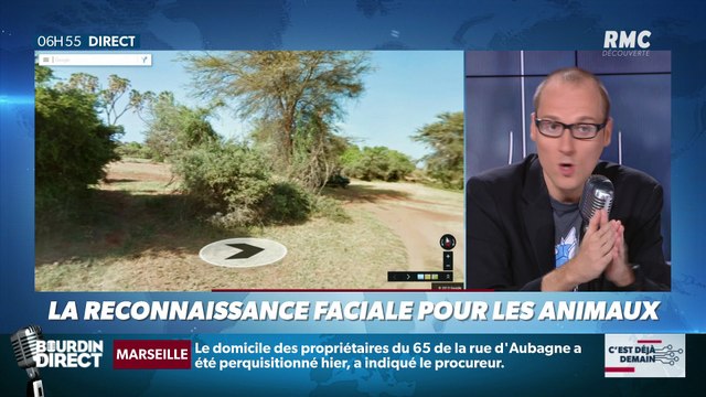La chronique d'Anthony Morel : La reconnaissance faciale pour les animaux - 16/11