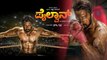 Pailwaan Kannada Movie : ಕಿಚ್ಚ ಸುದೀಪ್ ಅಭಿಮಾನಿಗಳಿಗೊಂದು ಸಿಹಿ ಸುದ್ದಿ..!