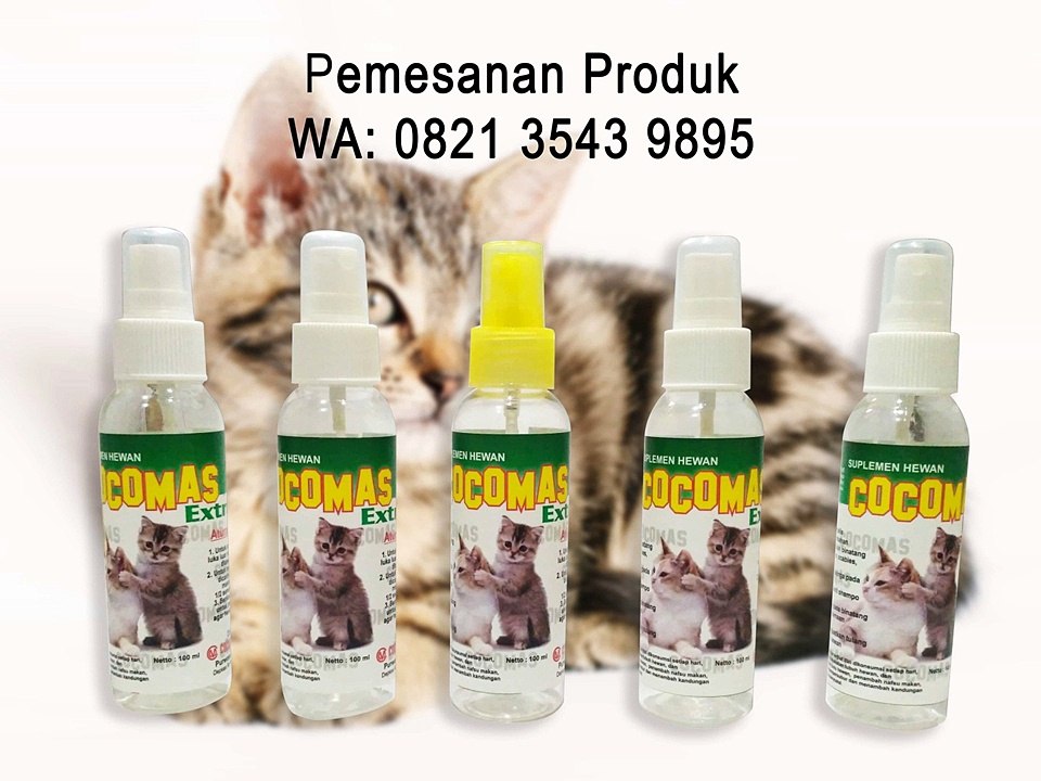 #obatkucing #obatjamurkucing #obatkucingmencret #obatcacingkucing #obatkutukucing #kutukucing #shampookutukucing #kalungkutukucing #sisirkutukucing #obatkucingtermurah