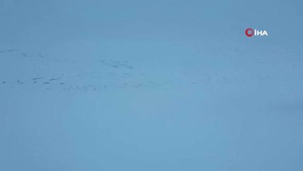 Hava Sıcaklığının Eksi 25 Derece Olduğu Kato Dağı'nda Operasyonlar Aralıksız Sürüyor