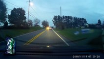 Deer Attempts to Jump over Moving Car