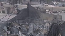 Zjarret në Kaliforni, heroi që shpëtoi shumë jetë - Top Channel Albania - News - Lajme