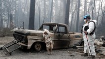 Incendi in California, oltre 600 i dispersi
