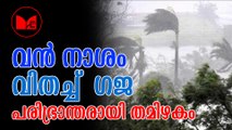 Gajah cyclon | തമിഴ്നാട് തീരത്ത്   വൻ നാശം വിതച്ചുകൊണ്ട്  ഗജ ചുഴലിക്കാറ്റ്