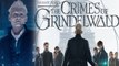 Fantastic Beasts: The Crimes Of Grindelwald: This is why you should watch this movie वनइंडिया हिंदी