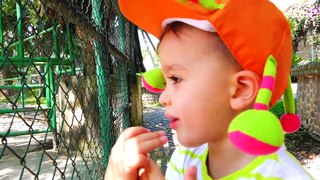 Little Nikita rides and plays at the zoo Video for kids