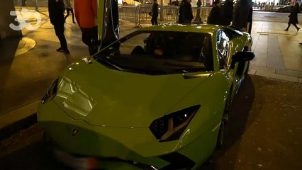 العثور على الشبل "بوتين" داخل سيارة لامبورغيني في الشانزيليزيه