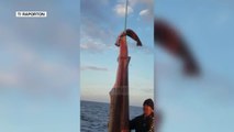 Pa Koment - Himarë, kapet një tjetër peshkaqen - Top Channel Albania - News - Lajme