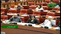 Zartaj Gul Speech In Senate - 16th November 2018