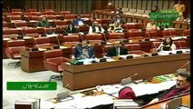 Sherry Rehman Speech In Senate - 16th November 2018